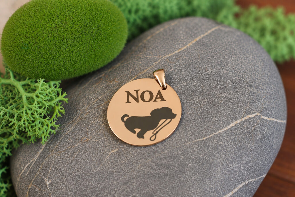 Chapas para mascotas